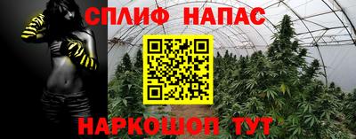 бошки Вязьма