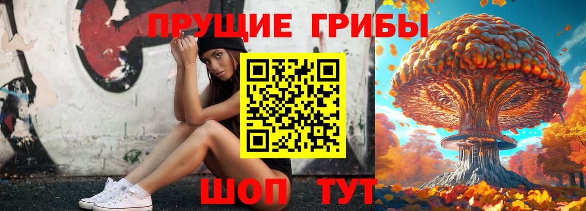 Псилоцибиновые грибы MAGIC MUSHROOMS  Вход с VPN  Борзя 